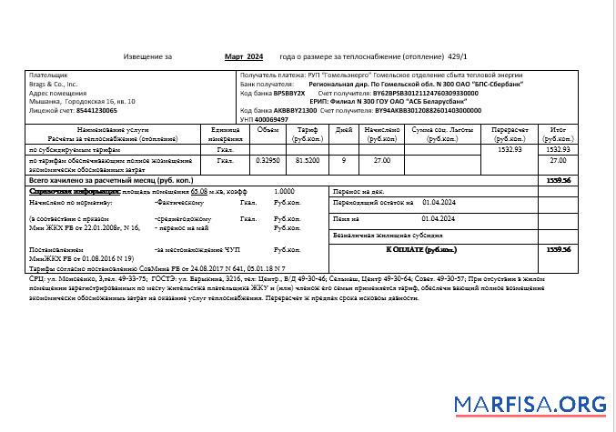 Printable Belarus Gomel energo business utility bill template in .doc and .pdf format, fully editable